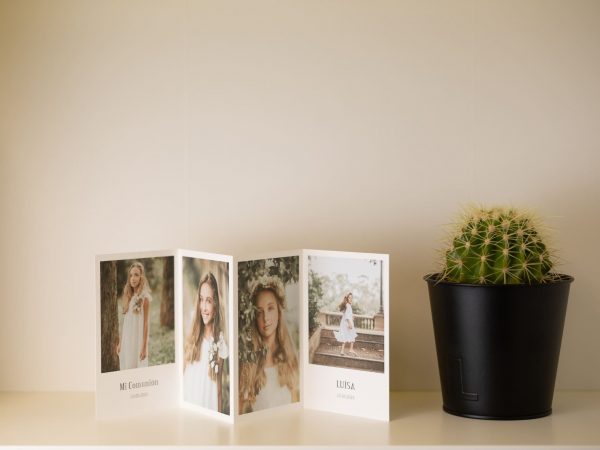 Paper Folio Armonia