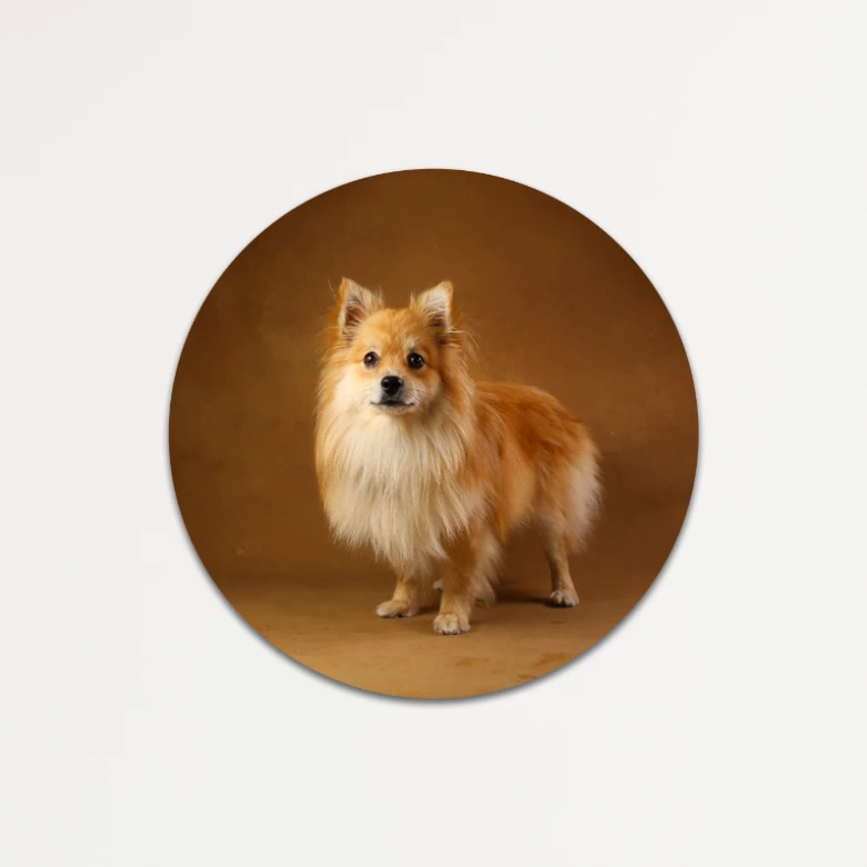 Nuestro Marco Circular Flotante personalizado lleva tu foto impresa en laminado arena, montada sobre madera o PVC de 45mm.